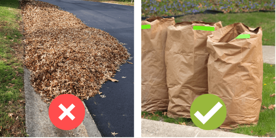 https://www.cityoflancasterpa.gov/wp-content/uploads/2023/10/Leaf-Collection.png